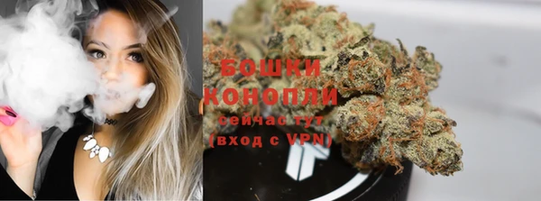 PSILOCYBIN Армянск