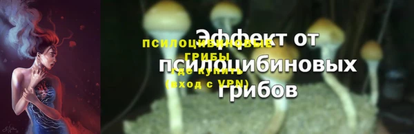ешки Новодвинск