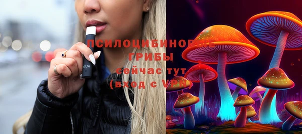 PSILOCYBIN Армянск
