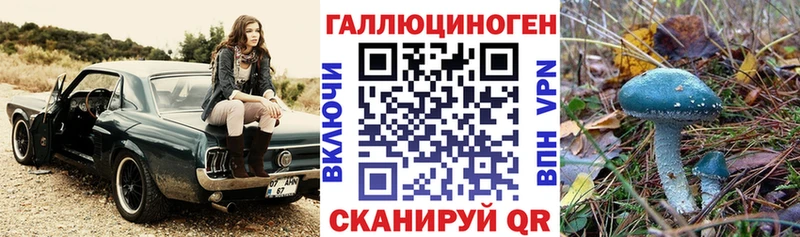 гидра ссылки  Обоянь  Псилоцибиновые грибы Psilocybine cubensis 